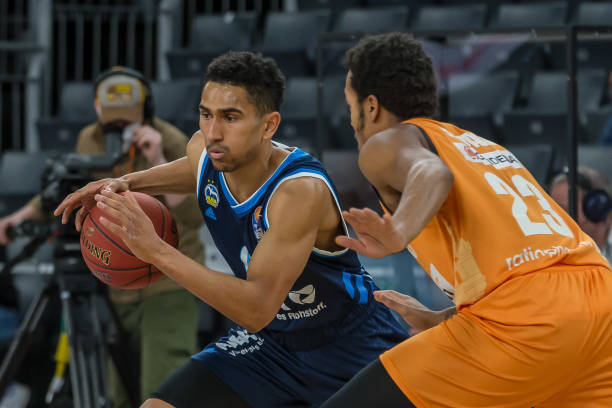 森林狼在 森林狼在